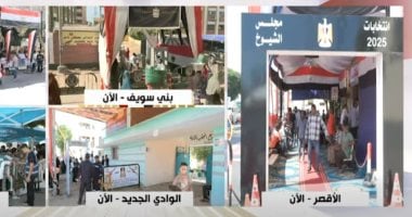 بدء مؤتمر الهيئة الوطنية لإطلاع الرأى العام على انتخابات الشيوخ للمصريين بالداخل