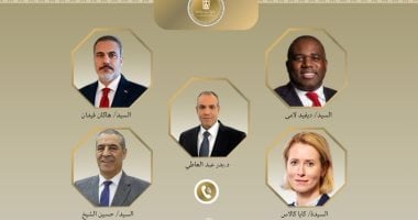 وزير الخارجية يبحث مع نظيريه البريطانى والتركى مستجدات "وقف إطلاق النار بغزة"