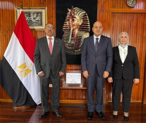 متابعة شاملة: «الوطنية للانتخابات» ترصد سير اقتراع المصريين بالخارج في مجلس الشيوخ 2025