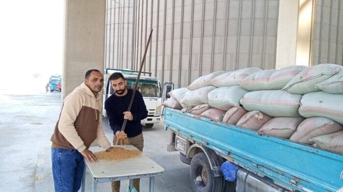 مجلس الوزراء يعلن سعر توريد القمح لموسم 2025 - 2026