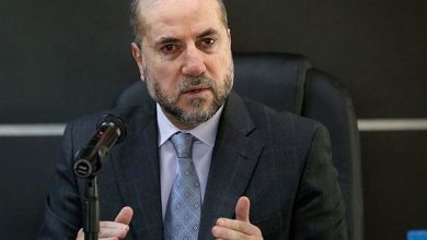 مصر تنجح في إفشال مخطط التهجير وتواجه محاولات «شيطانية» لتشويه دورها تجاه فلسطين