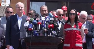 وزير الخارجية: مصر كانت وستظل سندا للشعب الفلسطينى وغزة تتعرض لدمار وتخريب
