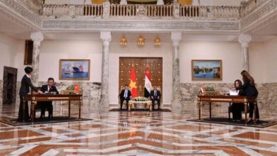 مصر وفيتنام تتعاونان في اتفاقيات جديدة للتنمية المحلية والاقتصادية «فيديو»