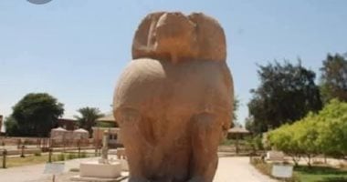 مقر عبادة الإله جحوتى.. مدينة الأحياء الأثرية تحكى تاريخ المنيا القديمة.. صور