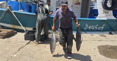 رحلة تستغرق 8 أيام.. موسم صيد التونة أهم مواسم الصياد بدمياط.. فيديو