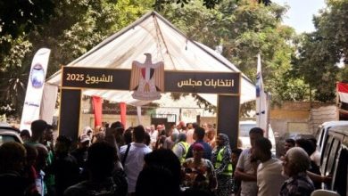 ناخبون يتدفقون على لجان القاهرة قبل إغلاق التصويت «صور»