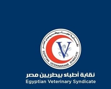 نقابة البيطريين تنفق 4 ملايين جنيه لصالح 45 طبيبًا من صندوق مرضى السرطان