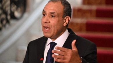 وزير الخارجية: مصر تعزز سياسة خارجية شريفة في وقت يتقلص فيه الشرف