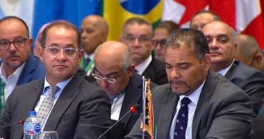 ممثل جنوب أفريقيا بـ"مجموعة العشرين": تعاون مع القاهرة لمواجهة مشكلات الأمن الغذائى