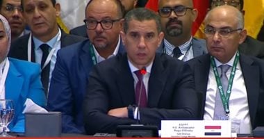 ممثل مصر أمام قمة العشرين: قضية المياه قضية جوهرية للأمن القومى المصرى