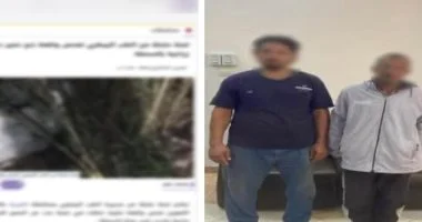 الأمن يكشف حقيقة ذبح "حمير" في أرض زراعية بالغربية وضبط المتهمين