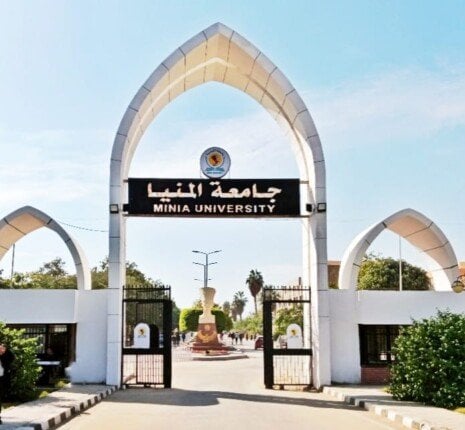 تصنيف ليدن 2025.. المنيا تتألق بحثيًا وتُدرج ضمن 15 جامعة مصرية في النسخة التقليدية