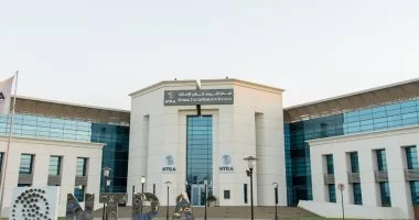 كيف تتعاقد على خطوط الهاتف المحمول بطريقة صحيحة؟