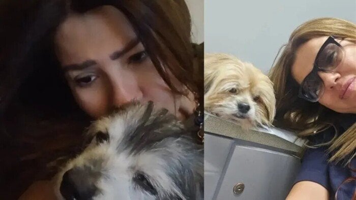 «قلبي اتوجع مرتين».. رانيا فريد شوقي تتصدر الترند بسبب كلابها