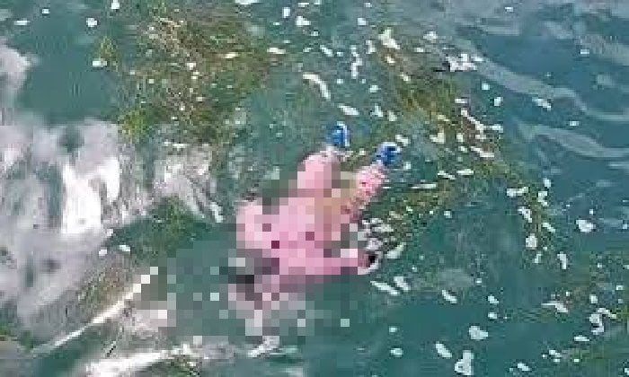 غرق مأساوي في الفيوم.. طفل الشواشنة خرج للحضانة فعاد جثمانًا فوق مياه الترعة