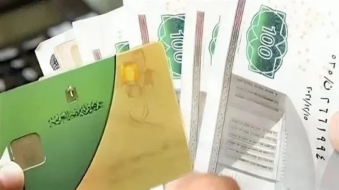 الدعم التمويني
