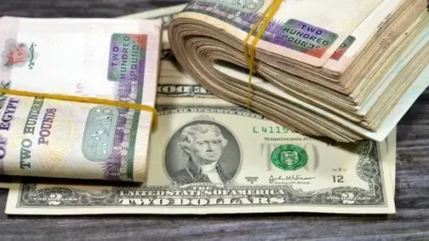 سعر الدولار